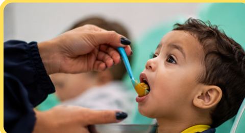 Introdução alimentar